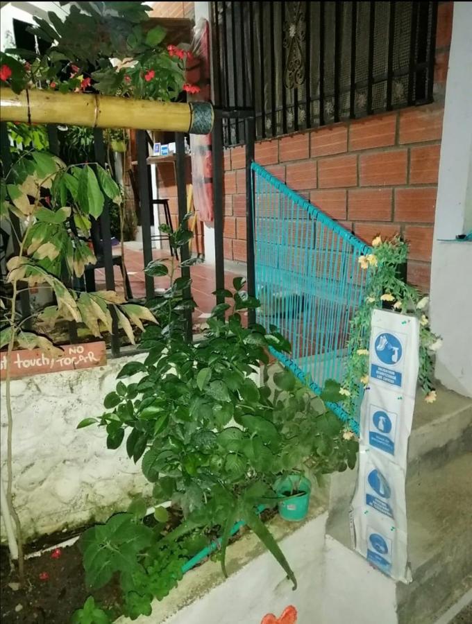 Casa Chill Out Hotel Minca Ngoại thất bức ảnh